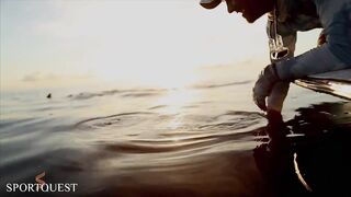 Alphonse Island - мифический milkfish на fly, приливы и плоские