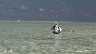 Alphonse Island - мифический milkfish на fly, приливы и плоские