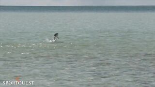 Alphonse Island - мифический milkfish на fly, приливы и плоские