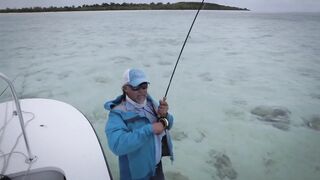 Seven Degrees South - официальный трейлер Alphonse, fly и лодки