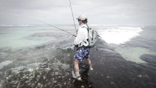 Seven Degrees South - официальный трейлер Alphonse, fly и лодки