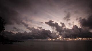 Seven Degrees South - официальный трейлер Alphonse, fly и лодки