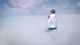 Seven Degrees South - официальный трейлер Alphonse, fly и лодки