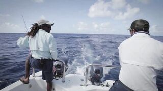 Seven Degrees South - официальный трейлер Alphonse, fly и лодки