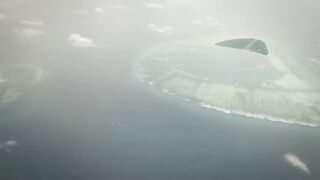 Seven Degrees South - официальный трейлер Alphonse, fly и лодки