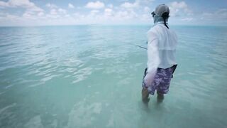 Seven Degrees South - официальный трейлер Alphonse, fly и лодки