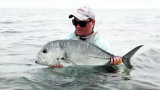 Alphonse Island, Сейшелы - сезон 2020: лодки, приливы и рыбалка у рифа