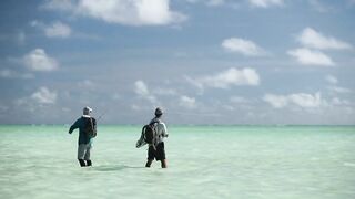 Alphonse Island, Сейшелы - сезон 2020: лодки, приливы и рыбалка у рифа