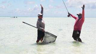 Alphonse Island, Сейшелы - сезон 2020: лодки, приливы и рыбалка у рифа