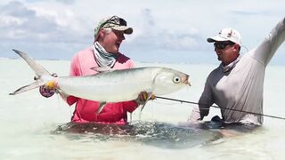 Alphonse Island, Сейшелы - сезон 2020: лодки, приливы и рыбалка у рифа