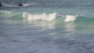 Alphonse Island, Сейшелы - сезон 2020: лодки, приливы и рыбалка у рифа