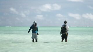 Alphonse Island, Сейшелы - сезон 2020: лодки, приливы и рыбалка у рифа