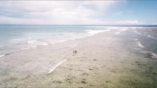 Alphonse Fishing Co. - тизер сезона: лодки, гиды и плоские