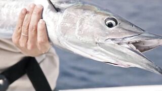 Alphonse Fishing Co. - тизер сезона: лодки, гиды и плоские