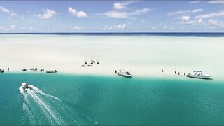 Alphonse Fishing Co. - тизер сезона: лодки, гиды и плоские