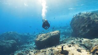 Fregate Island — под водой и над, где искать хищника по приливу