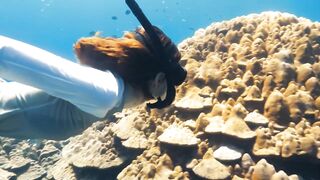 Fregate Island — под водой и над, где искать хищника по приливу