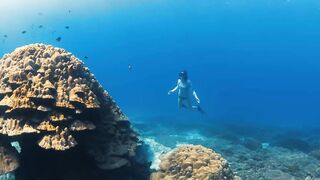 Fregate Island — под водой и над, где искать хищника по приливу