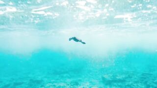 Fregate Island — под водой и над, где искать хищника по приливу