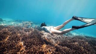 Fregate Island — под водой и над, где искать хищника по приливу