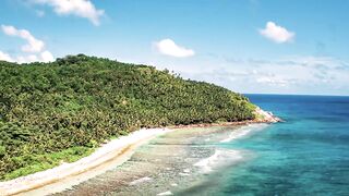 Fregate Island — под водой и над, где искать хищника по приливу