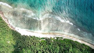 Fregate Island — усынови коралл: где ловить, не вредя рифу?