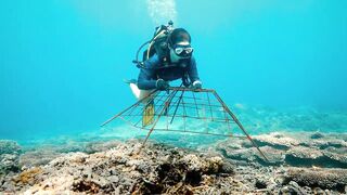 Fregate Island — усынови коралл: где ловить, не вредя рифу?