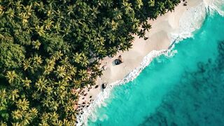 Fregate Island — усынови коралл: где ловить, не вредя рифу?