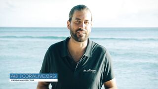 Fregate Island — усынови коралл: где ловить, не вредя рифу?