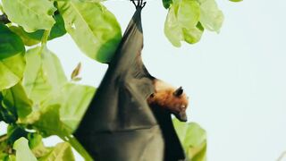 Fregate Island — усынови коралл: где ловить, не вредя рифу?