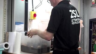 Fregate Island: редкий жук и морская рыбалка на чистых плоских