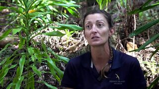 Fregate Island: редкий жук и морская рыбалка на чистых плоских