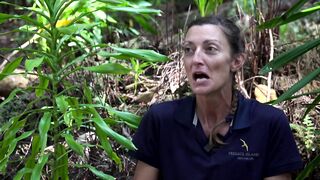 Fregate Island: редкий жук и морская рыбалка на чистых плоских