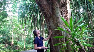 Fregate Island: редкий жук и морская рыбалка на чистых плоских