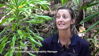 Fregate Island: редкий жук и морская рыбалка на чистых плоских