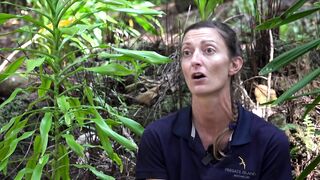 Fregate Island: редкий жук и морская рыбалка на чистых плоских