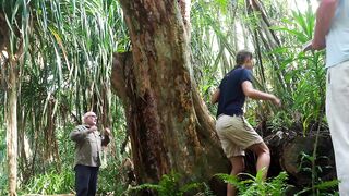 Fregate Island: редкий жук и морская рыбалка на чистых плоских