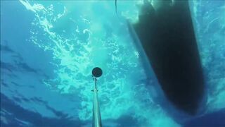 Fregate Island, Сейшелы: приманочная видеосъёмка BRUVS под водой, октябрь 2020