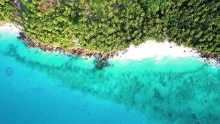 Fregate Private, Seychelles — стоит ли планировать морскую рыбалку в мае?