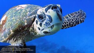 Fregate Island Private - National Geographic Lodges, что особенного