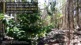 Fregate Island Private - National Geographic Lodges, что особенного