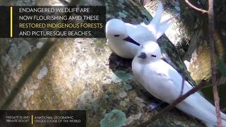 Fregate Island Private - National Geographic Lodges, что особенного