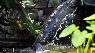 Fregate Island Private - National Geographic Lodges, что особенного