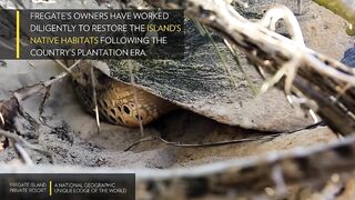 Fregate Island Private - National Geographic Lodges, что особенного