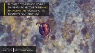 Fregate Island Private - National Geographic Lodges, что особенного
