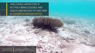 Fregate Island Private - National Geographic Lodges, что особенного