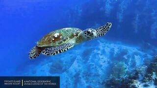 Fregate Island Private - National Geographic Lodges, что особенного