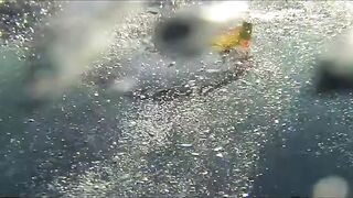 Fregate Island Private - опыт гостя: лагуны, риф и морская рыбалка