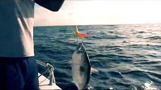 Fregate Island Private - опыт гостя: лагуны, риф и морская рыбалка