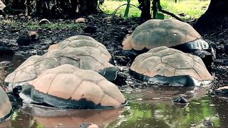 Fregate Island Private - опыт гостя: лагуны, риф и морская рыбалка